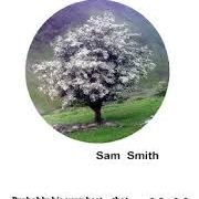 A New Acmeism - Sam Smith, erbacce press