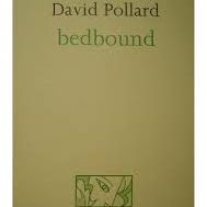 David Pollard - Bedbound, Perdika