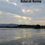 Deborah Harvey - The Shadow Factory, Indigo Dreams