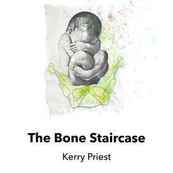 Kerry Priest - The Bone Staircase, Live Canon Press