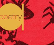 Magma Poetry Competition - Jan 14th