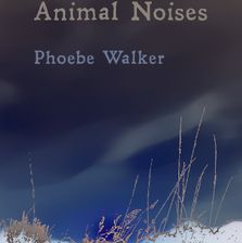 Pheobe Walker - Animal Noises 