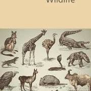 Rupert M Loydell - Wildlife, Shearsman